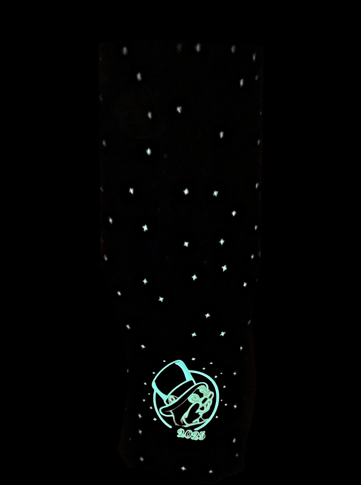 A picture of the back of a glowing green Buc-ee's New Year tumbler.  On the bottom is Buc-ee's logo, also glowing in green, with Buc-ee wearing a top hat.  Underneath Buc-ee reads the text 2025.  Some of the stars and dots on the tumbler are glowing green as well, surrounding the text.